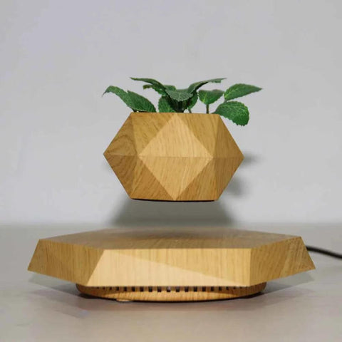 Image of Floating Magnetic Levitating Flower Pot