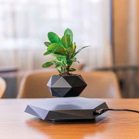 Image of Floating Magnetic Levitating Flower Pot