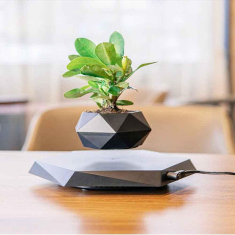 Image of Floating Magnetic Levitating Flower Pot