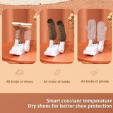 Shoe Dryer