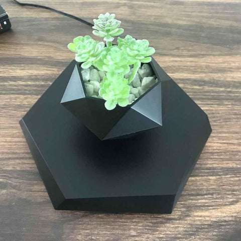 Image of Floating Magnetic Levitating Flower Pot