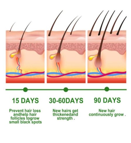 Rosemary Hair Care Essential Oil